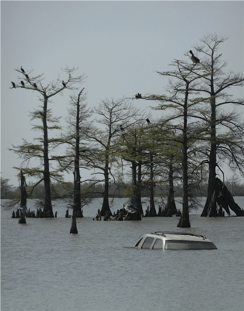 Ecologies of Collapse, 3 December | Event in Toronto | AllEvents