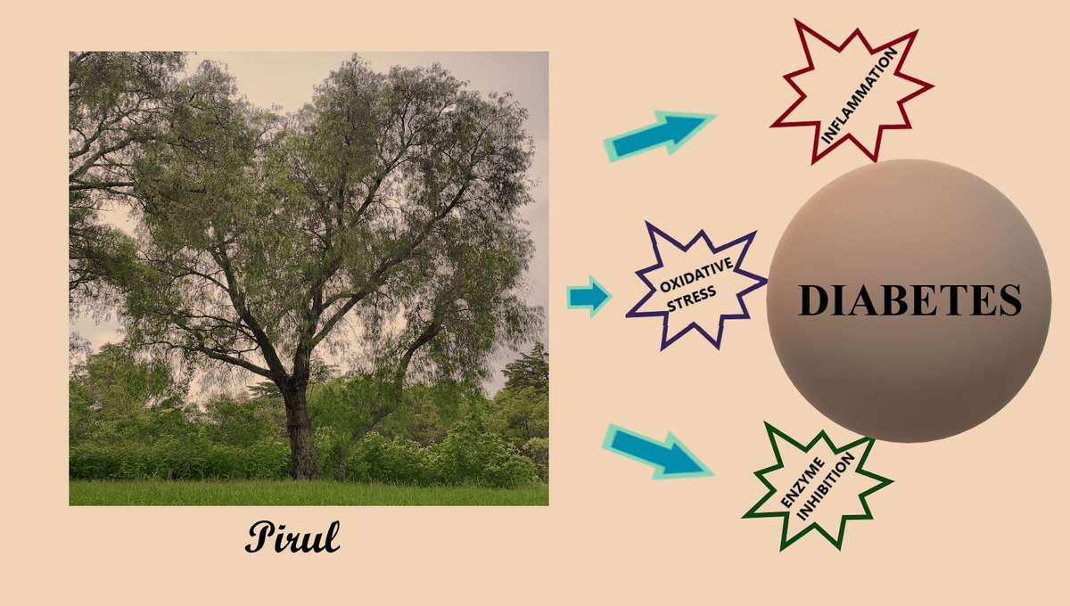 The Residents with DJ Carbo (18+), 28 January | Event in Boston | AllEvents