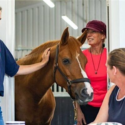 Tilefield Equestrian logo