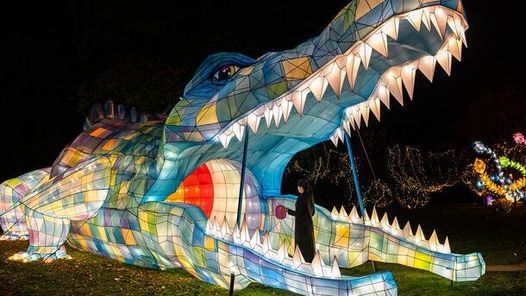 Nyc Winter Lantern Festival 2020 New York New York January 12 To January 15 Allevents In Nyc Lantern Festival 2022