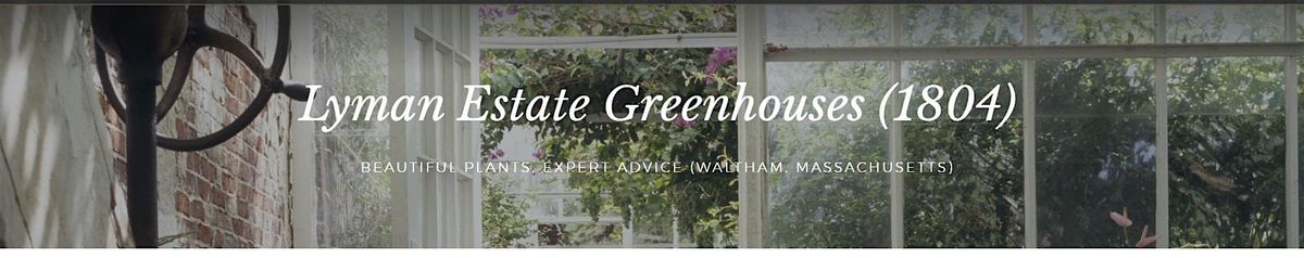 Camellia Days, 24 February | Event in Waltham | AllEvents