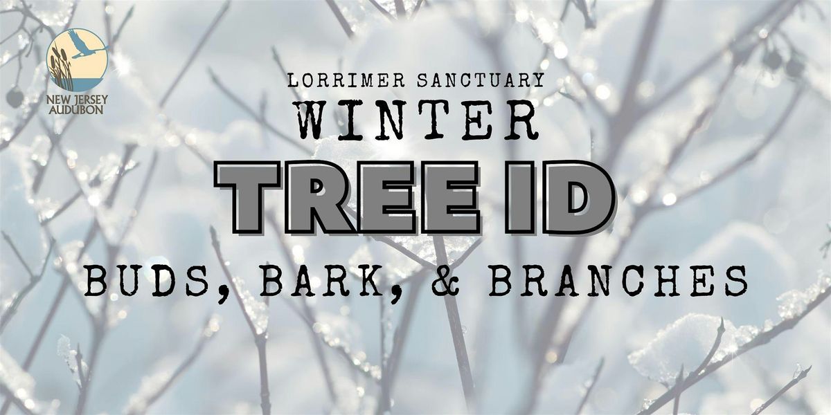 Winter Tree ID Hike, 31 January | Event in Franklin Lakes | AllEvents