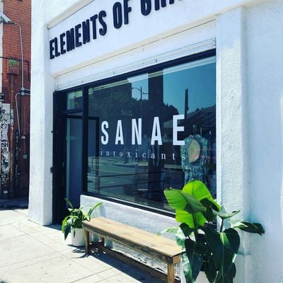 Sanae Intoxicants