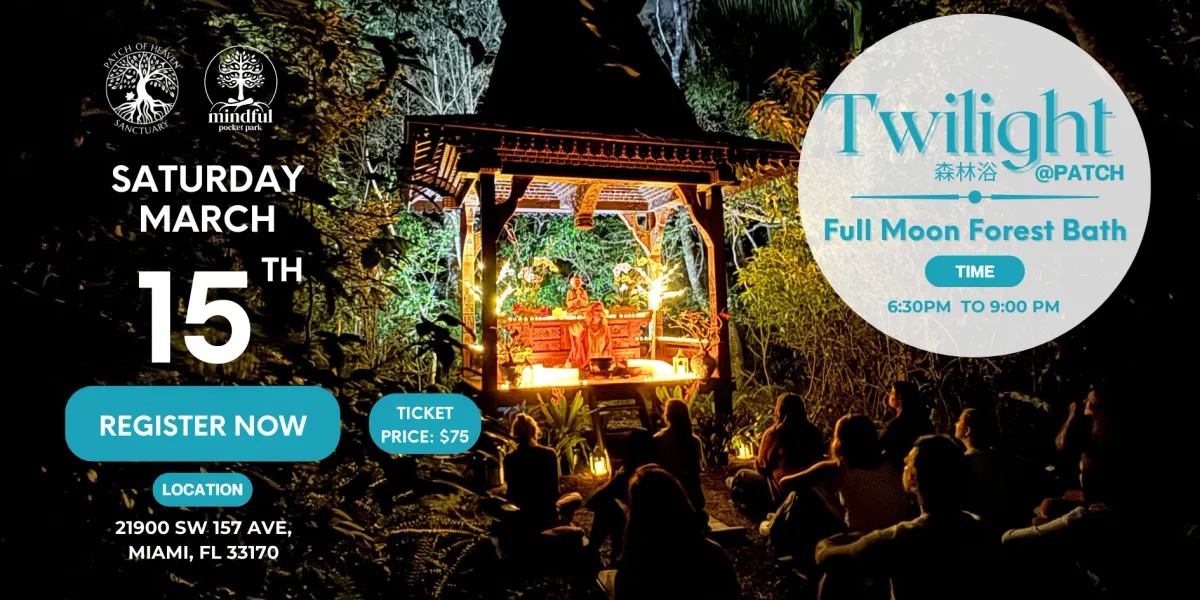 Parking Twilight in Concert, 26 November | Event in Atlanta | AllEvents