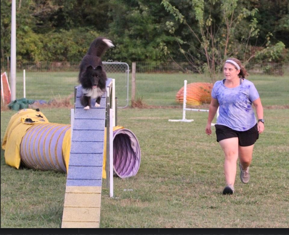 Tails Up NADAC Agility Trial, Family Dog Club, Chesapeake, November 4