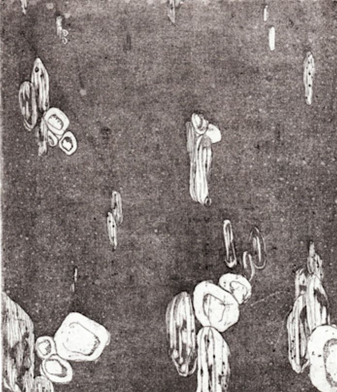 Intaglio - Copperplate Etching 2 Session Mini Course, 7 December | Event in Chicago | AllEvents