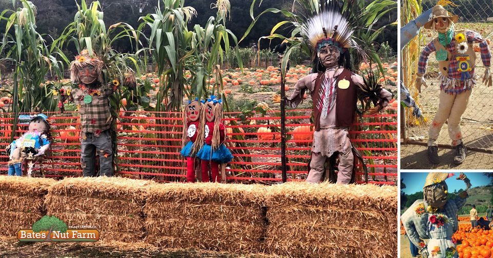 31st Annual Scarecrow Contest, Bates Nut Farm, Valley Center, October 8