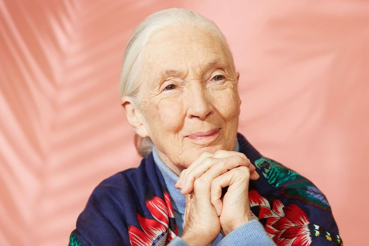 An Evening With Jane Goodall at Meridian Hall - Toronto, 3 September | Event in Toronto | AllEvents