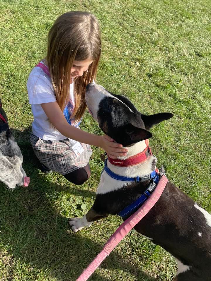 Christmas Crib for Bullies , The Salmon Leap Pub, Totton, December 17