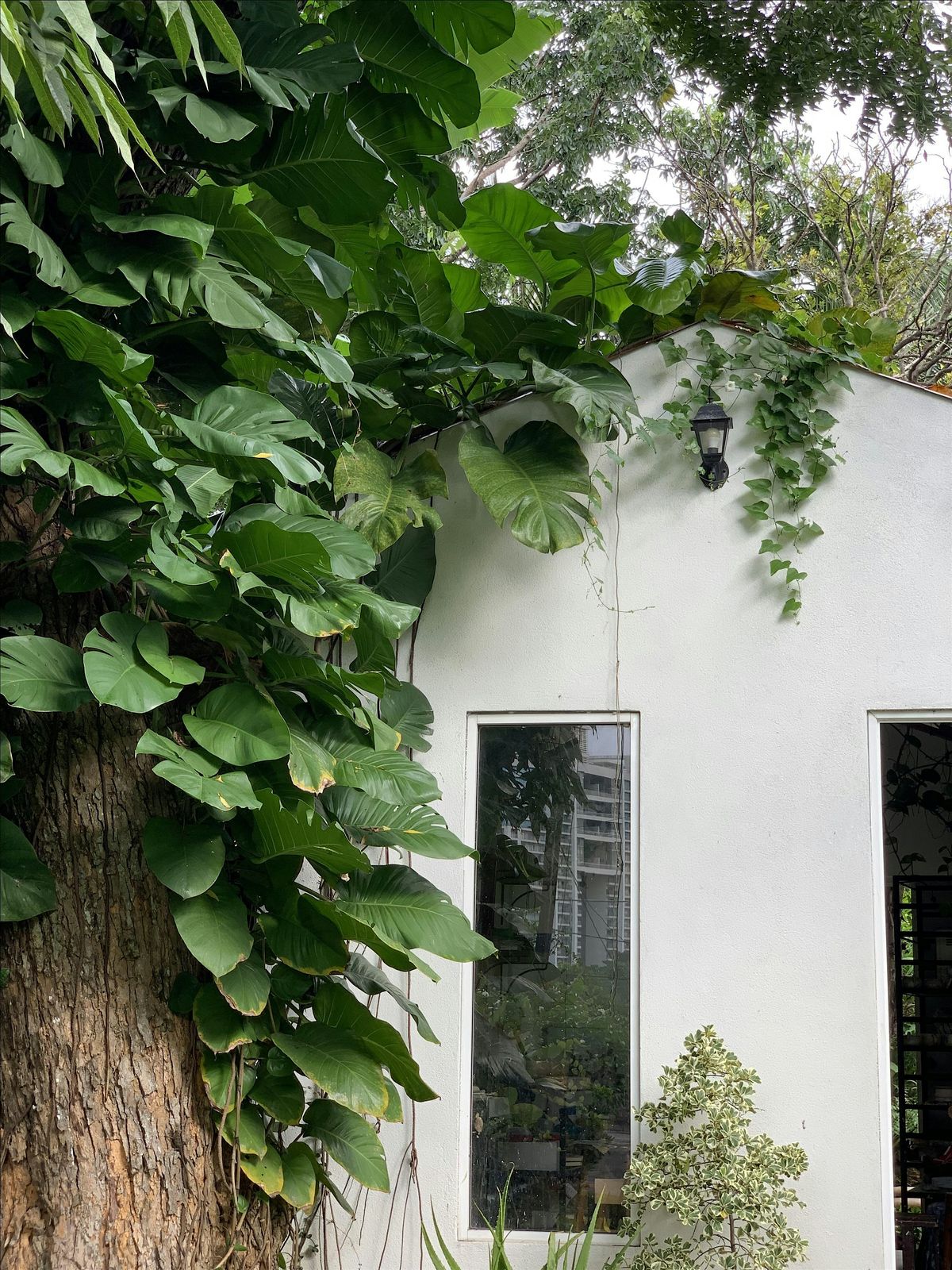 OHC25: Ivy Ceramics Studio [Tour], 6 December | Event in Colombo | AllEvents