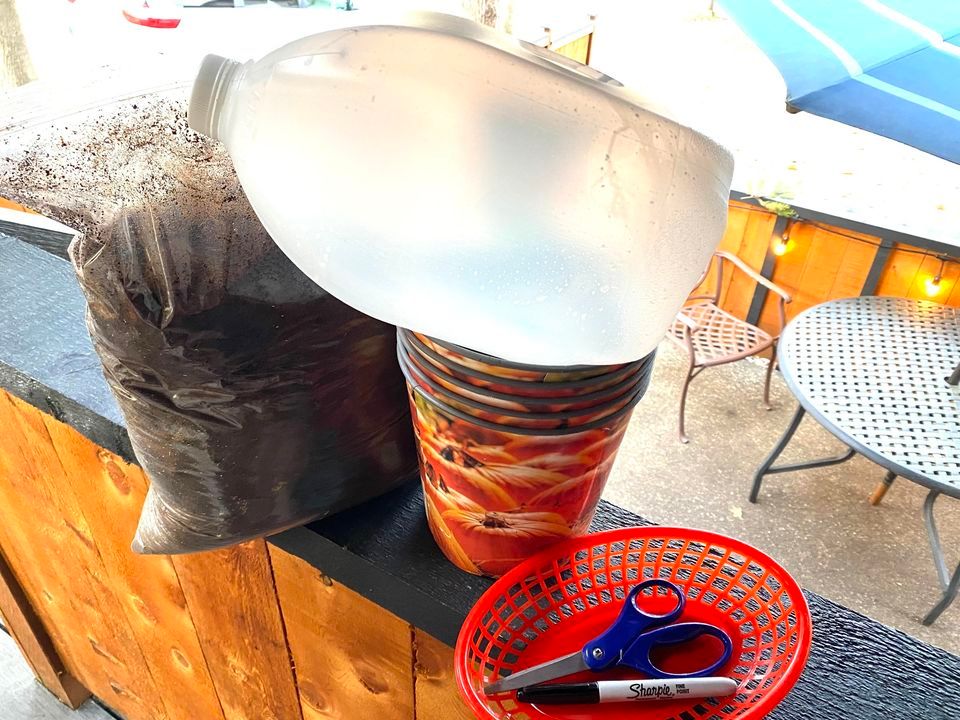 Milk Jug Mini Green House, Pups Cups n Cones, Bremerton, 16 November