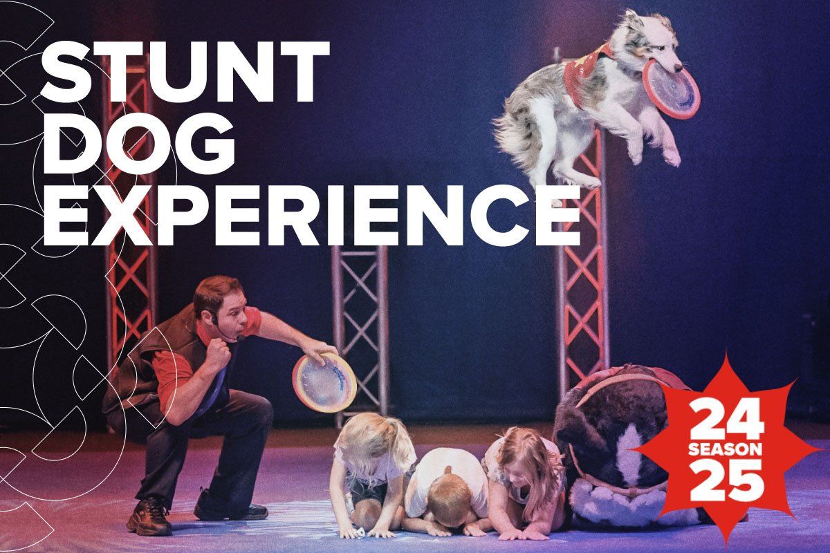 Chris Perondi's Stunt Dog Experience, 17 May | Event in Vashon | AllEvents