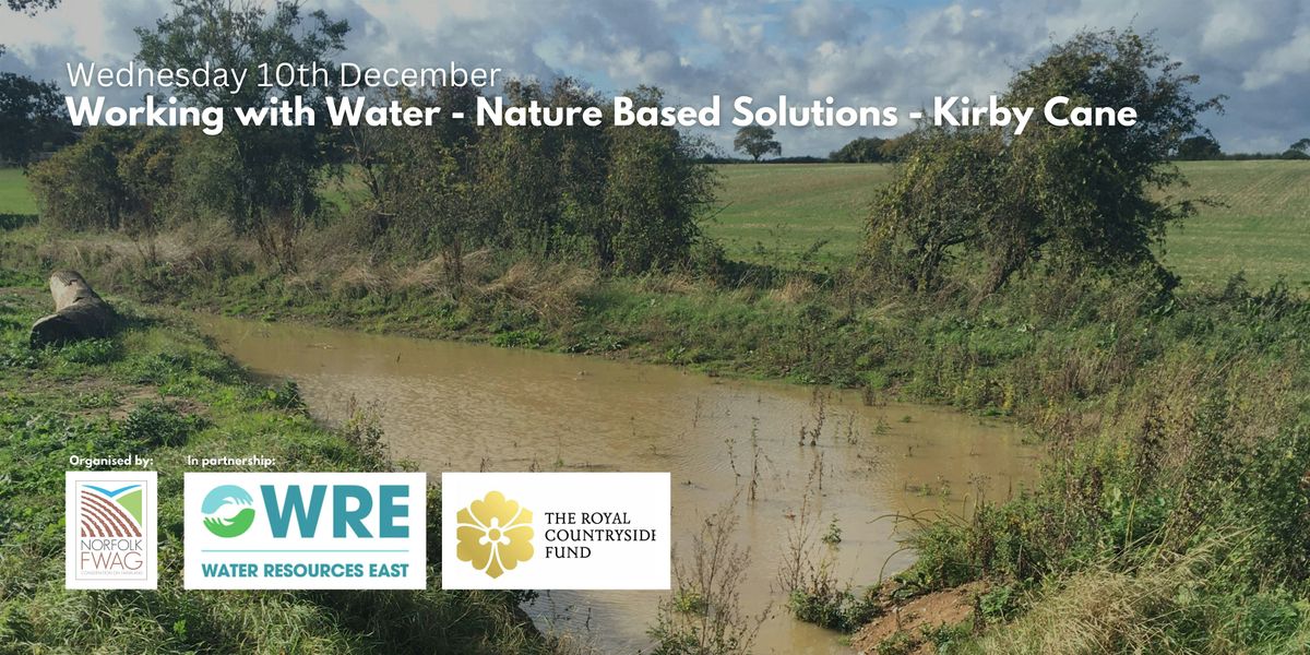Working with Water - Nature Based Solutions (Kirby Cane), 10 December | Event in Loddon | AllEvents