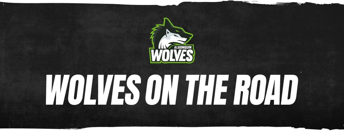 Varsity Volleyball: Algonquin Wolves vs. Seneca Sting, 6 February | Event in Ottawa | AllEvents