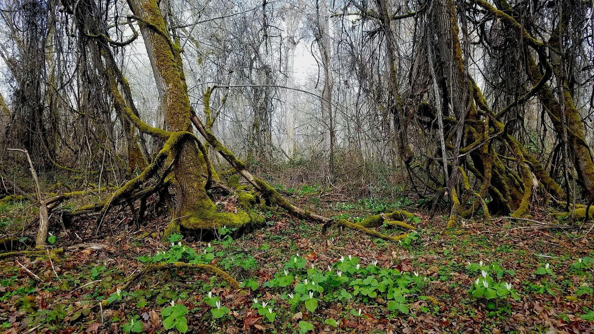 Open Lands Day at the Rogue River Preserve, 4 January | Event in Eagle Point | AllEvents
