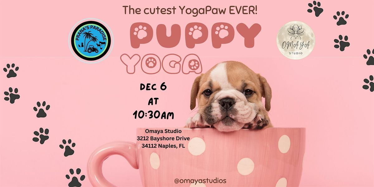 PUPPY YOGA, 6 December | Event in Naples | AllEvents