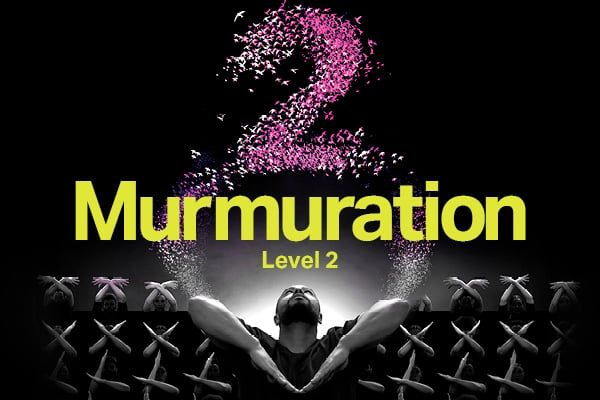 Murmuration Level 2, 10 September | Event in London | AllEvents