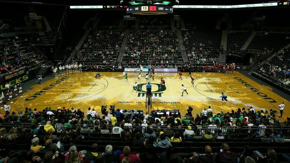Oregon Ducks Volleyball vs. Utah Womens Volleyball, Matthew Knight