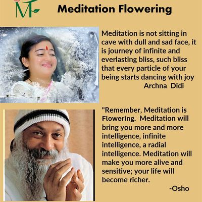 Meditation Flowering inc