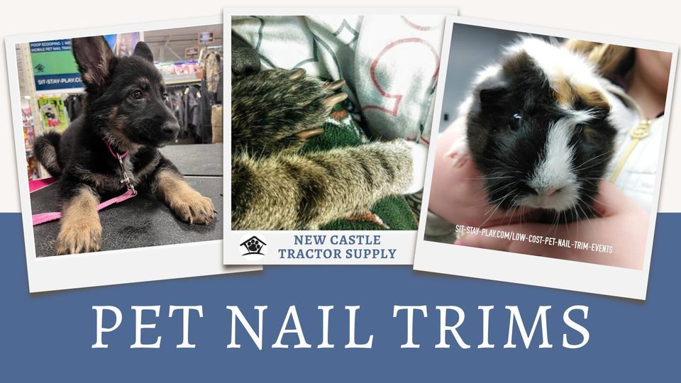 12/9/23 Pet Nail Trims at New Castle Tractor Supply, Tractor Supply Co