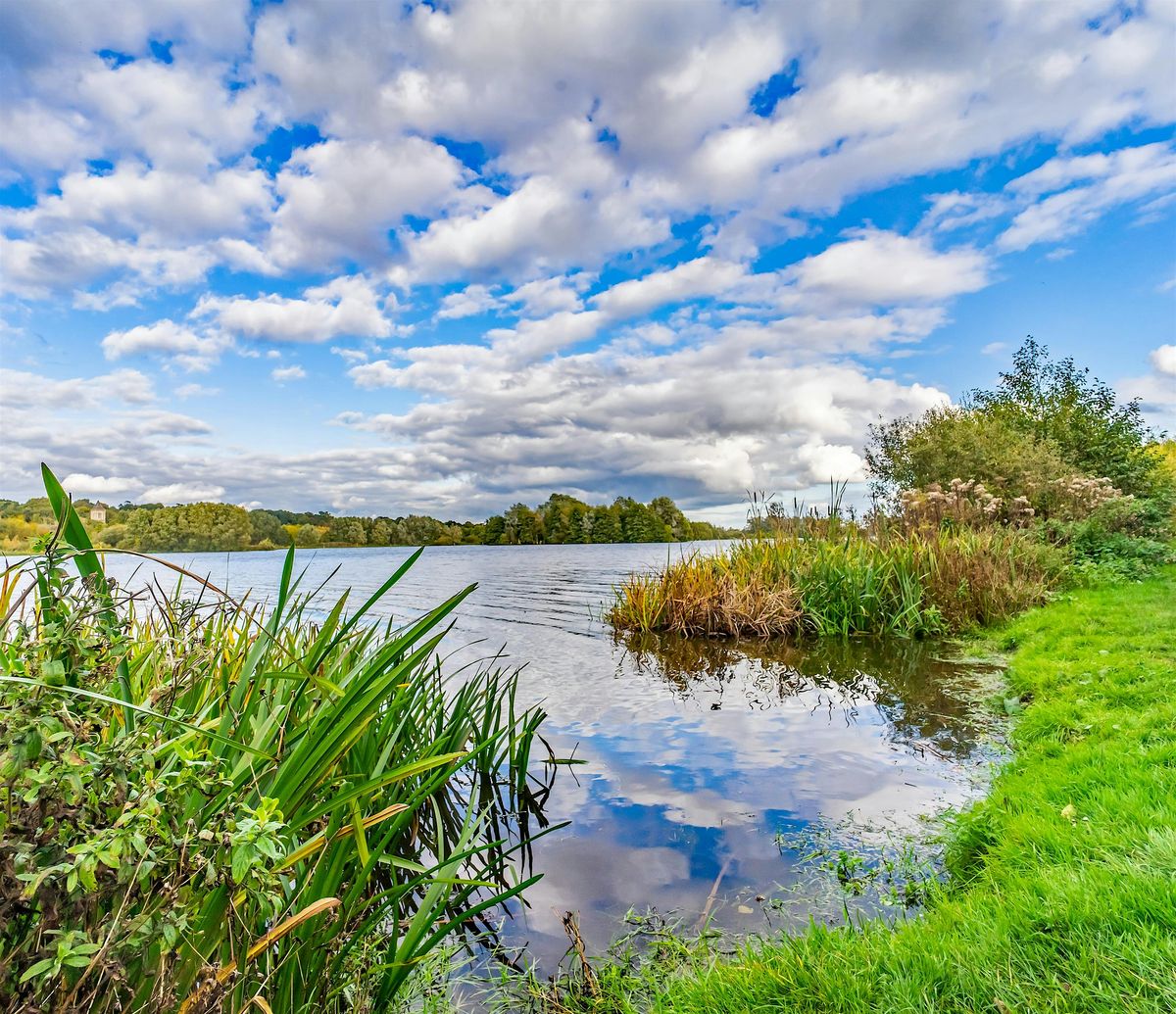 Norfolk Netwalking @ Whitlingham Country Park, 30 January | Event in Norwich | AllEvents