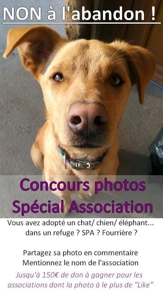 Concours Federal Fita Voves Events In The City Top Upcoming