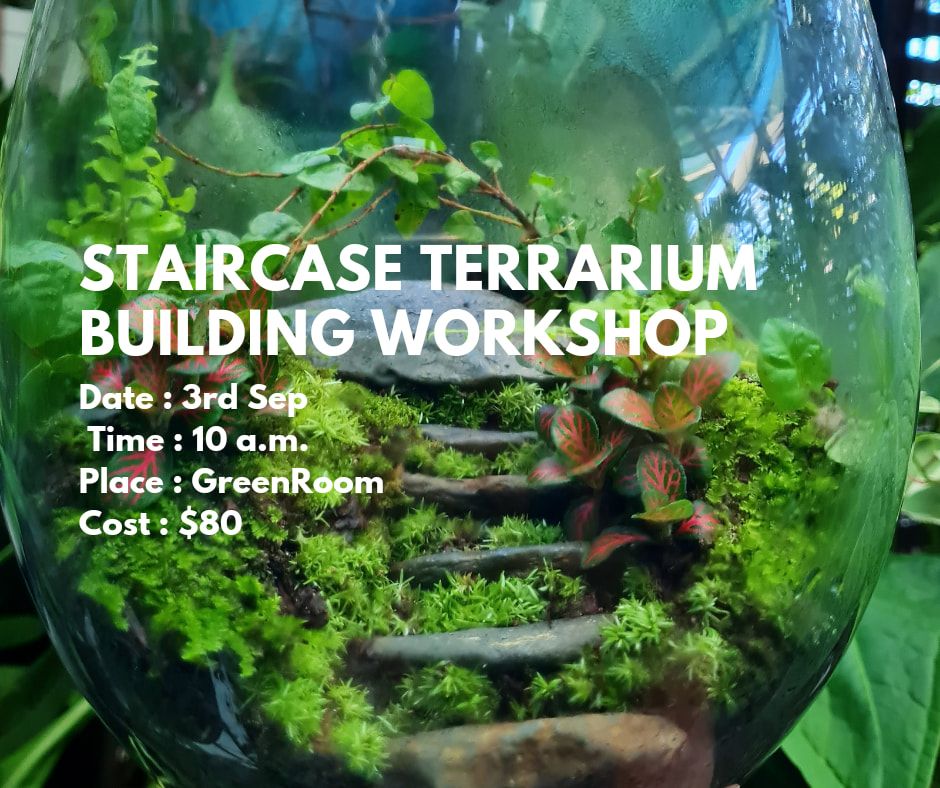 Terrarium Building (Staircase Inside A Terrarium), Green Room