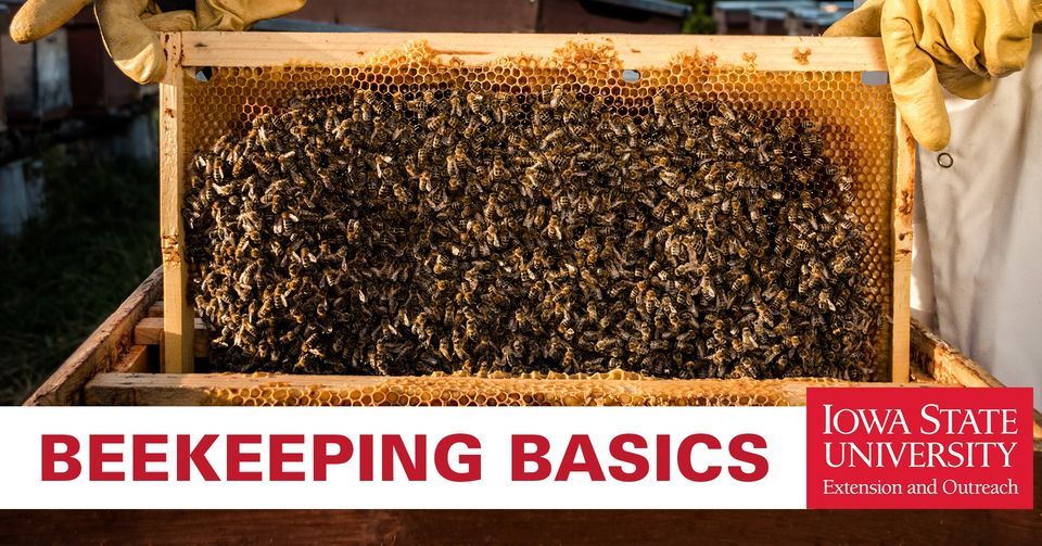 Beekeeping Basics - FREE, Iowa State University Extension and Outreach ...