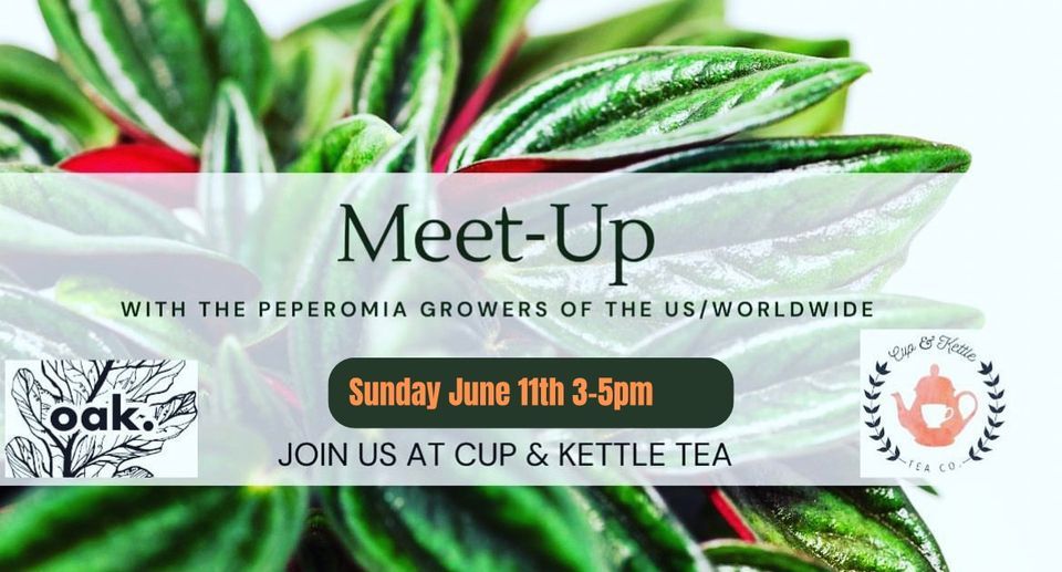 Plant Social , Cup & Kettle Tea, Bloomington, June 11 2023 AllEvents.in