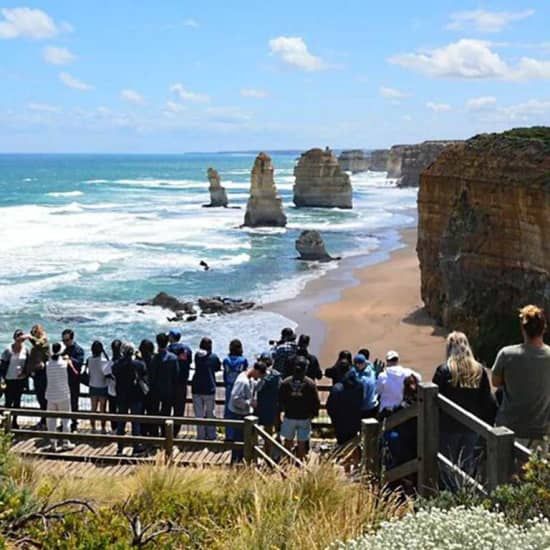 Reverse Great Ocean Road 12 Apostles and Australian native animal Tour | Event in Melbourne | AllEvents
