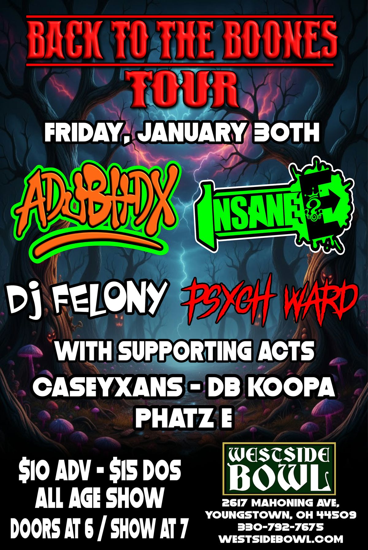 The Back to the Boones 2026 Tour, 30 January | Event in Youngstown | AllEvents