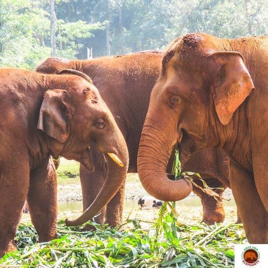 9th October 2021 Events In Del Mar Harvest Festival Del Mar 2022