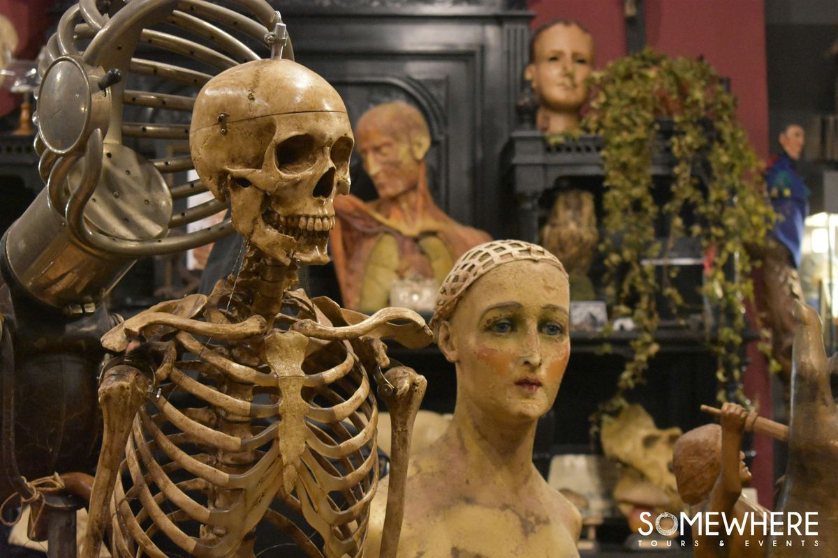 Torino Horror Story | Event in Torino | AllEvents