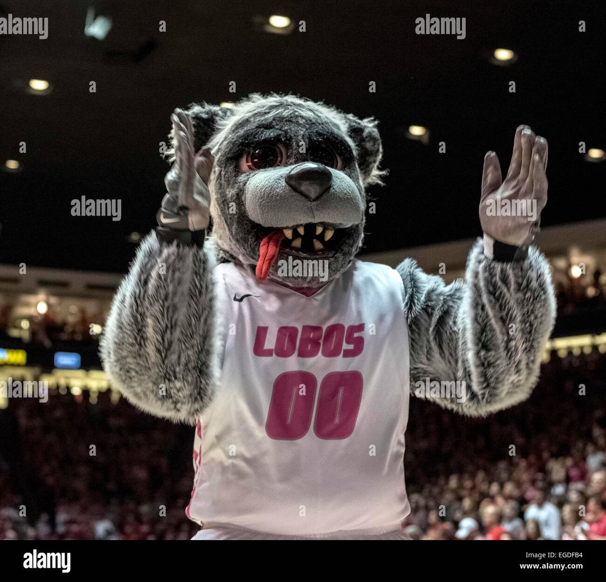 New Mexico Lobos vs. UNLV Rebels, The Pit, Albuquerque | AllEvents