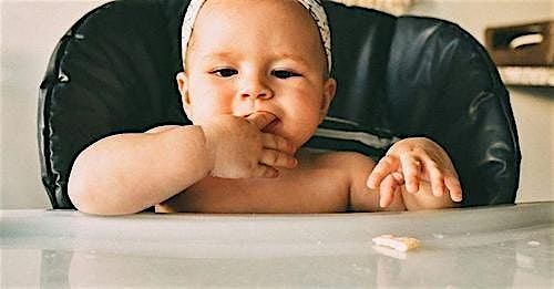 Lets Get Weaning in February