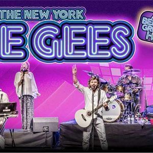 Parking The New York Bee Gees