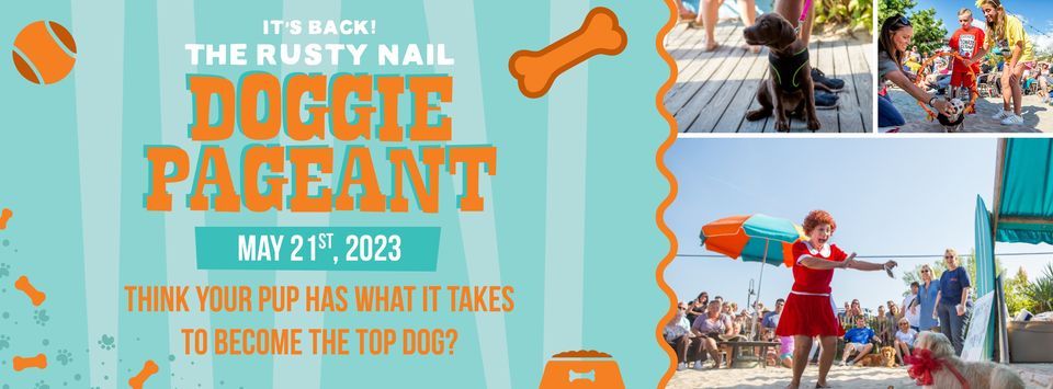 Doggie Pageant 2023, The Rusty Nail, Cape May, May 21 2023 | AllEvents.in