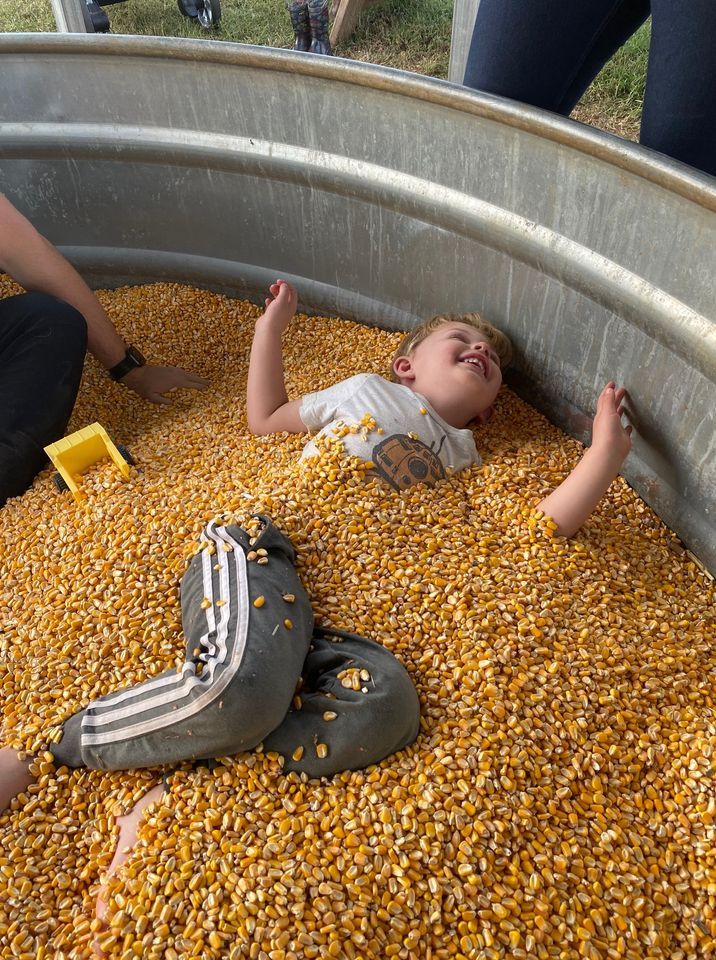 Fall at Red Wolf Farm, Red Wolf Farm, Maiden, October 14 to October 15