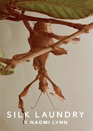 Sip, Style & Socialise at SILK Laundry, 18 December | Event in Fortitude Valley | AllEvents