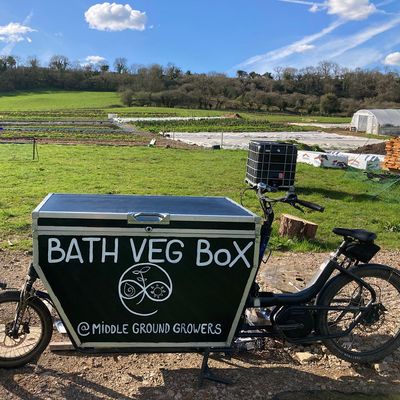 Hamish Evans (Middle Ground Growers) logo