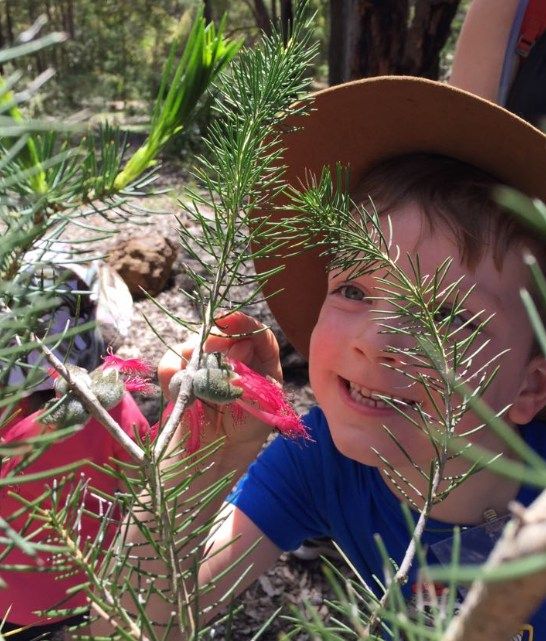 Wildlife Ninja School Perth Hills Discovery Centre Carmel 19 January wildlife-ninja-school-perth-hills-discovery-centre-carmel-19-january