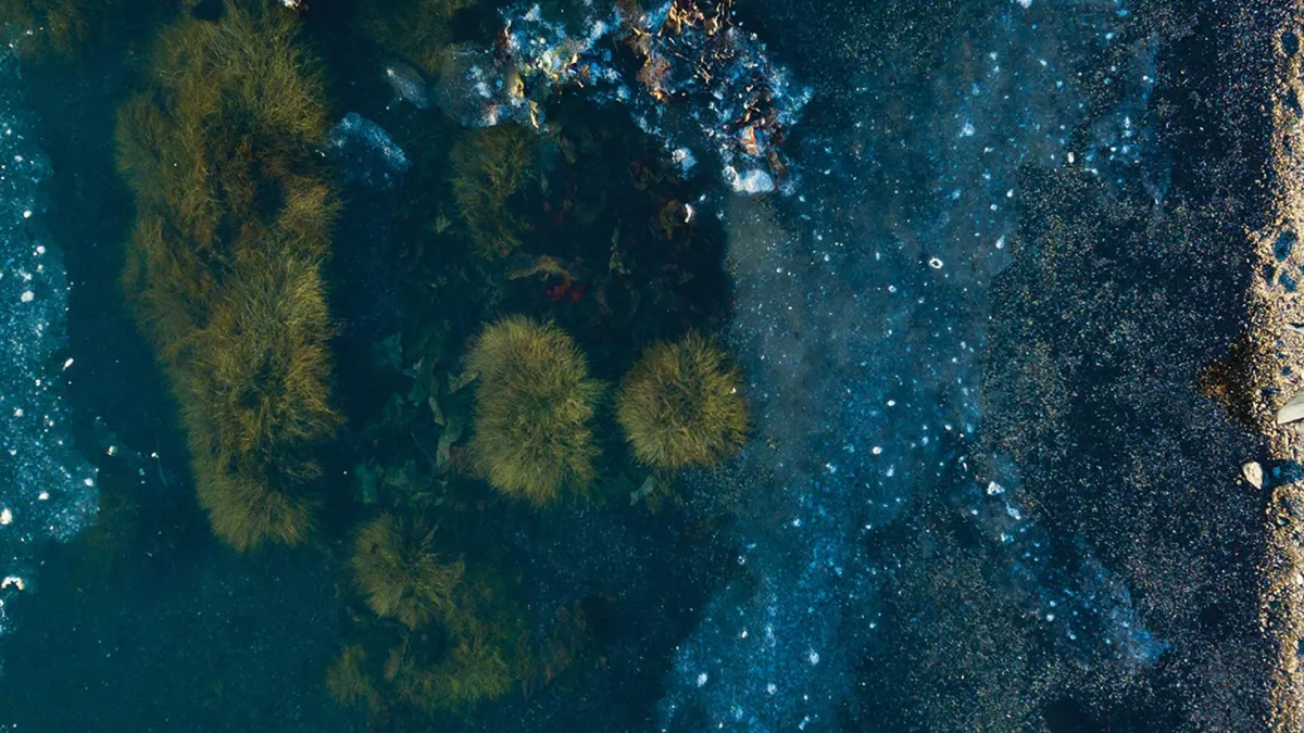 Julianna Barwick, Mary Lattimore in San Francisco, 15 February | Event in San Francisco | AllEvents