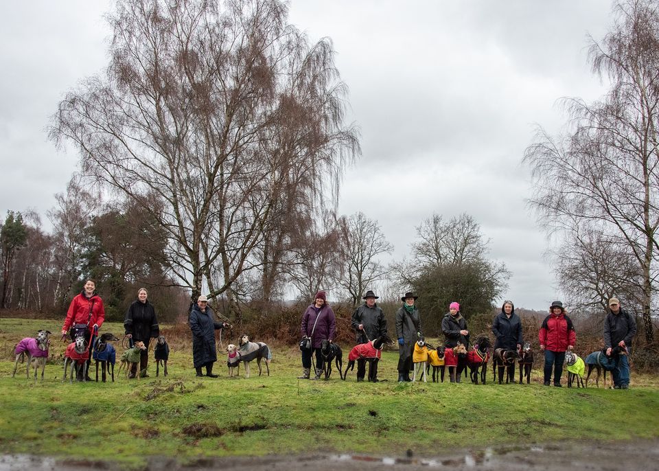 NYE Sighthound Stroll CHOBHAM COMMON, Chobham Common Roundabout Car