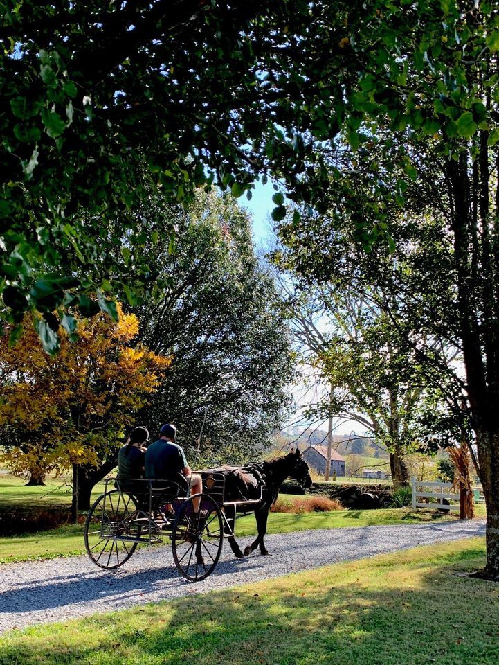 Drive the Farm! Equine Driving Obstacle Course, Fender's Farm, Erwin