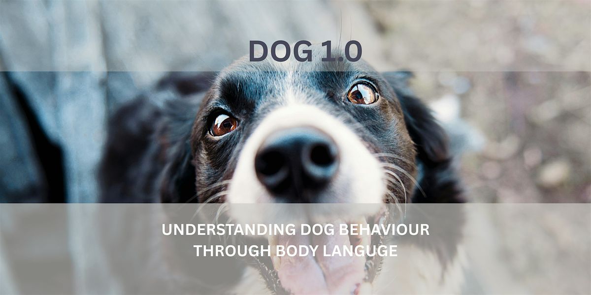 DOG 1.0  Open Community Circles Dog Communication Hosted by dogmindful.com, 29 November | Event in Mississauga