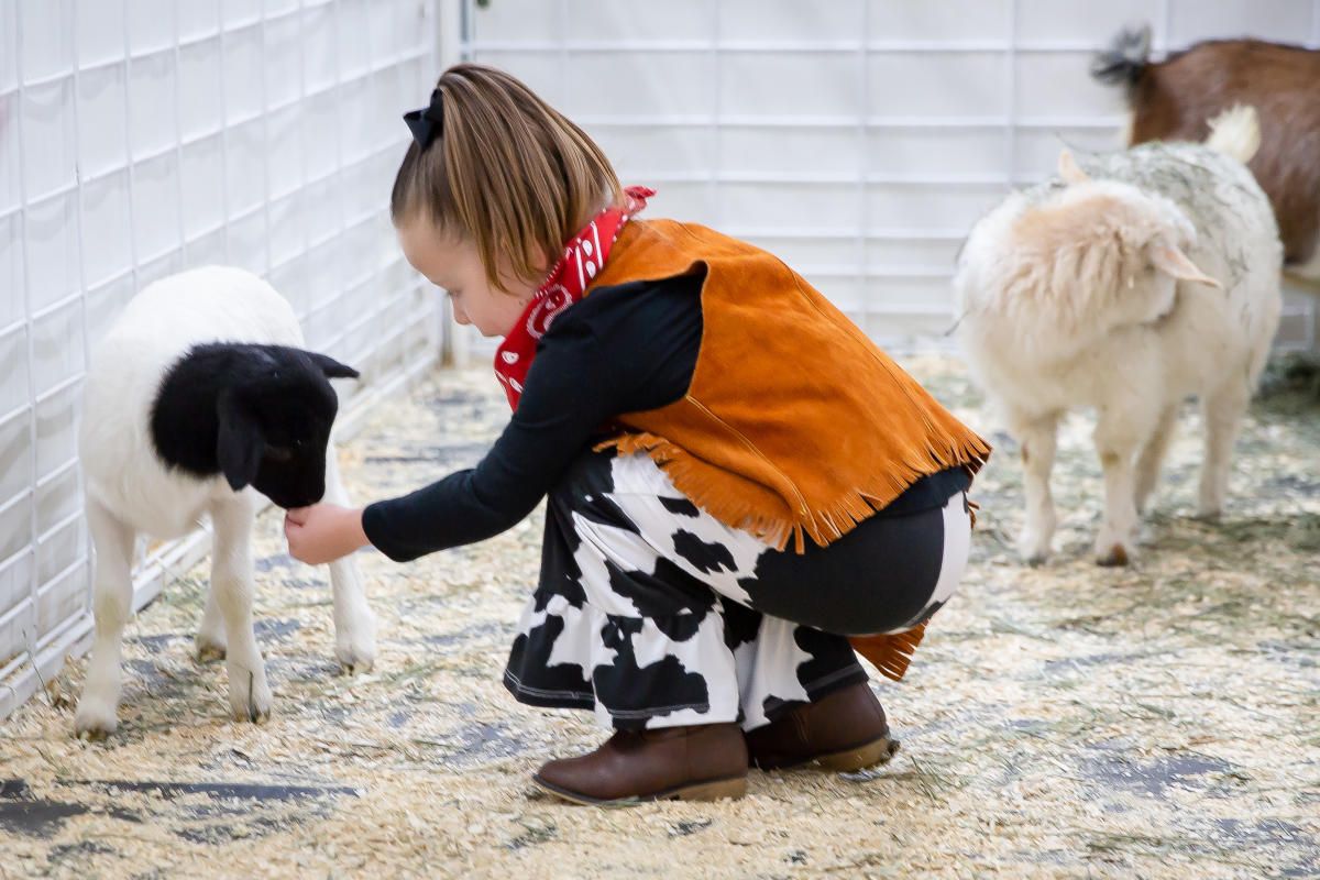 National Western Stock Show - NWSS Grand Prix at NW Events Center/Cinch Arena, 19 January | Event in Denver