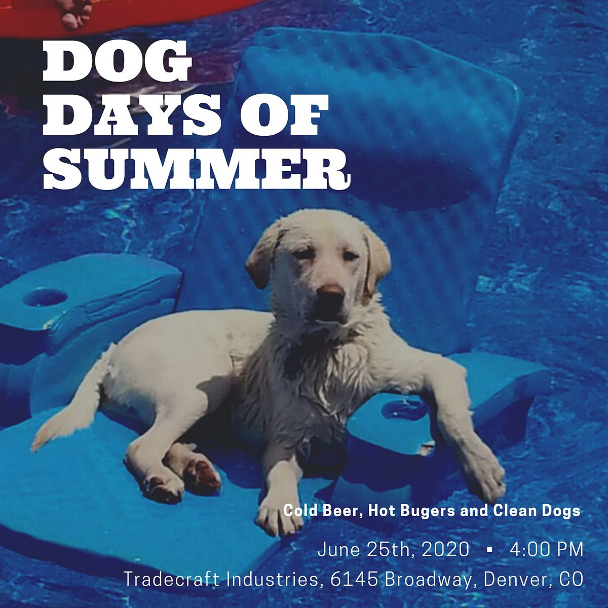 Download Dog Days Of Summer Bbq At Tradecraft Industries Denver For Free Get Wallpaper Dog Days Of Summer Bbq At Tradecraft Industries Denver For iPhone Free
