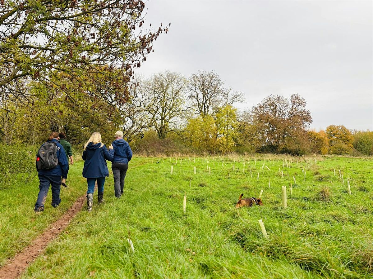 Waggy Walk and Tree Planting at Cranbrook Country Park, 4 December | Event in Cranbrook | AllEvents