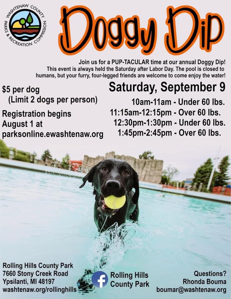 Doggy Dip, Rolling Hills Water Park, Ypsilanti, 9 September 2023