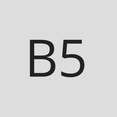 Bunch of 5s logo